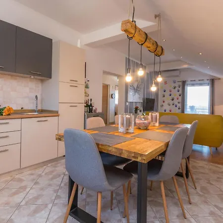 Pet Friendly In Apartament